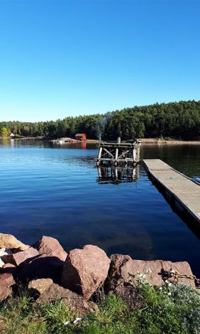 forside_jensesund